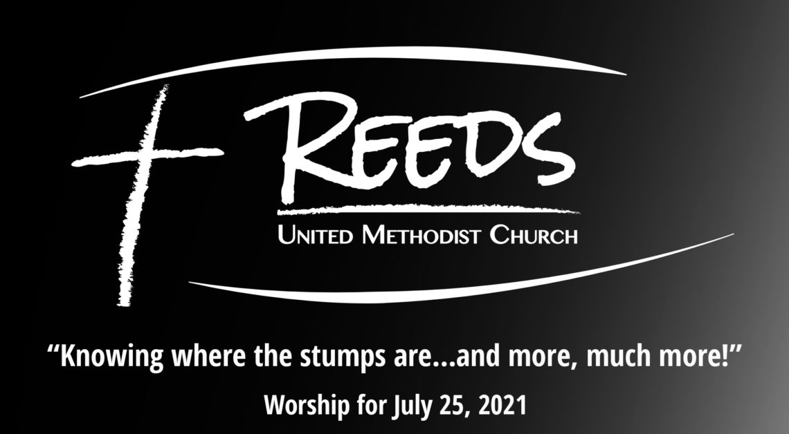 Reeds UMC logs with sermon titl, “Knowing where the stumps are…and more, much more!”