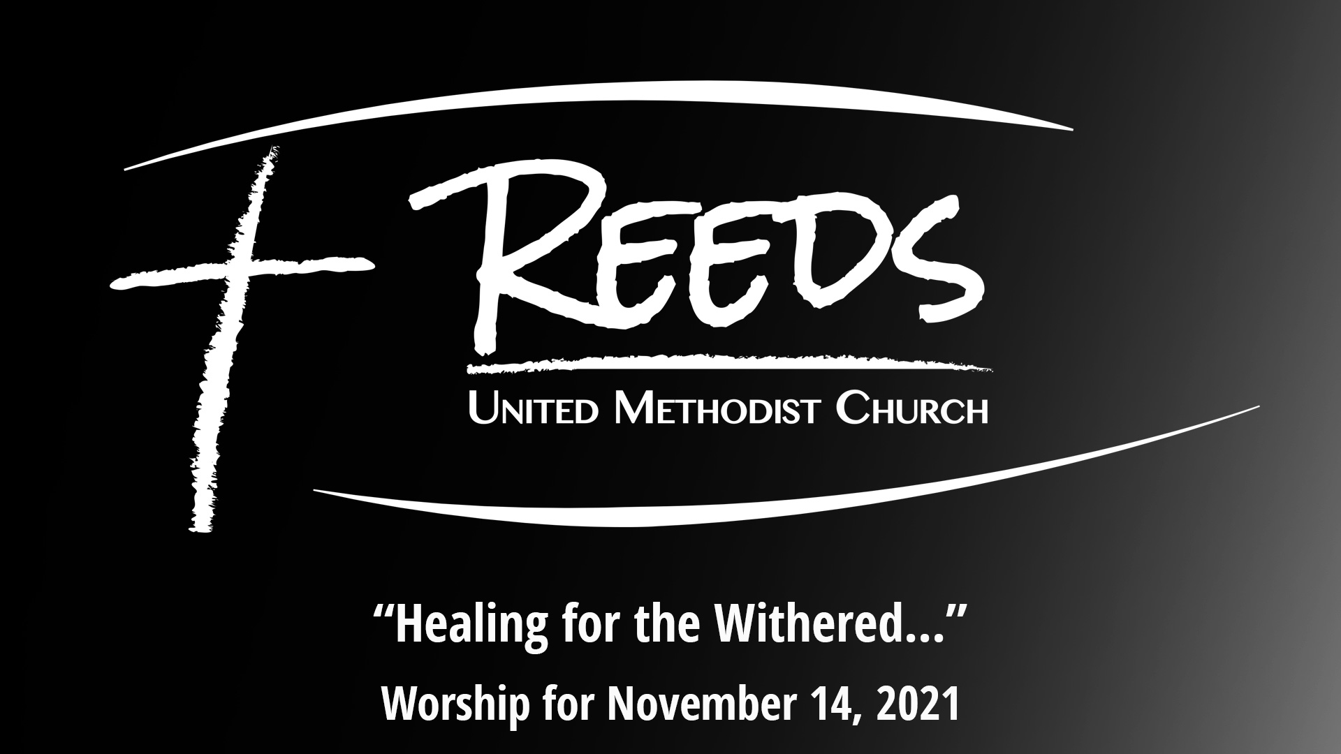 Reeds Logo with the title “Healing for the Withered...” and the date November 14, 2021.