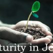 a seedling plant with the words Maturity in Jesus