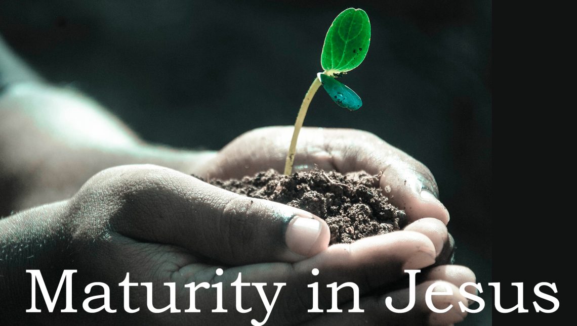 a seedling plant with the words Maturity in Jesus