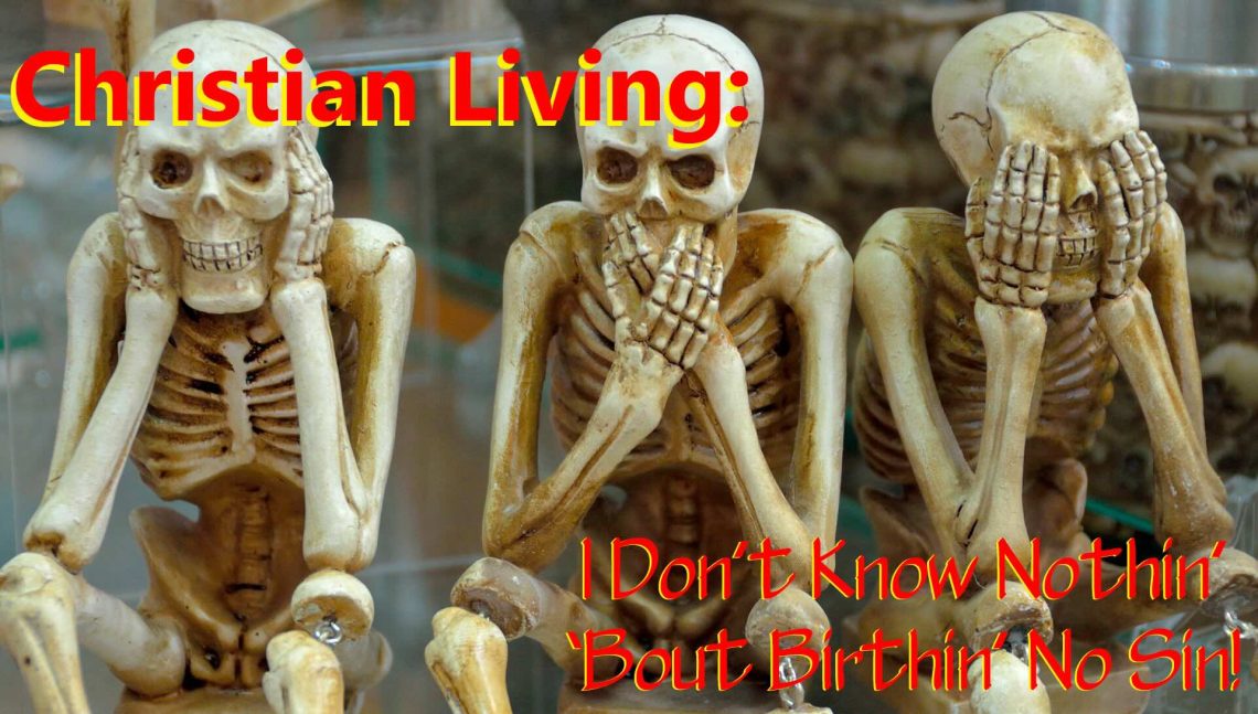 The title - Christian Living: I Don't Know Nothin' 'Bout Birthin' No Sin!