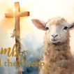 "The Lamb and the Sheep" - Worship for May 11, 2025
