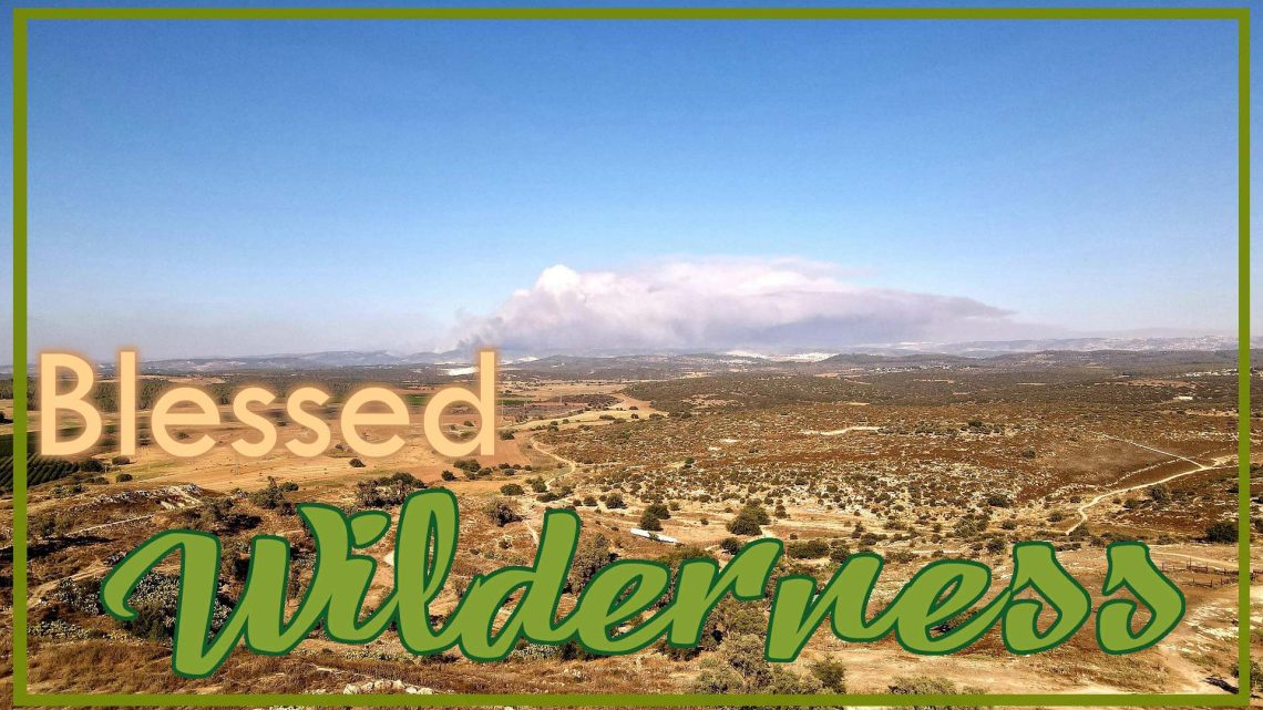 "Blessed Wilderness" - Worship for February 22, 2026