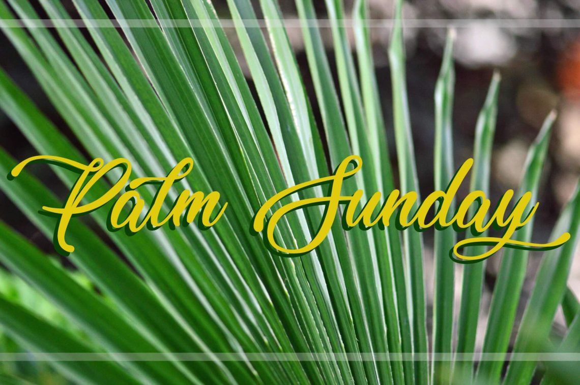 Worship for March 29, 2026 - "Palm Sunday"